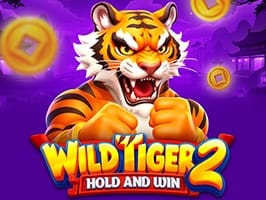 Wild Tiger 2 screenshot
